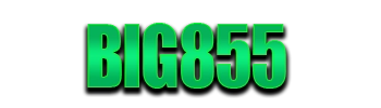Logo BIG855