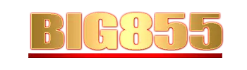 Logo BIG855